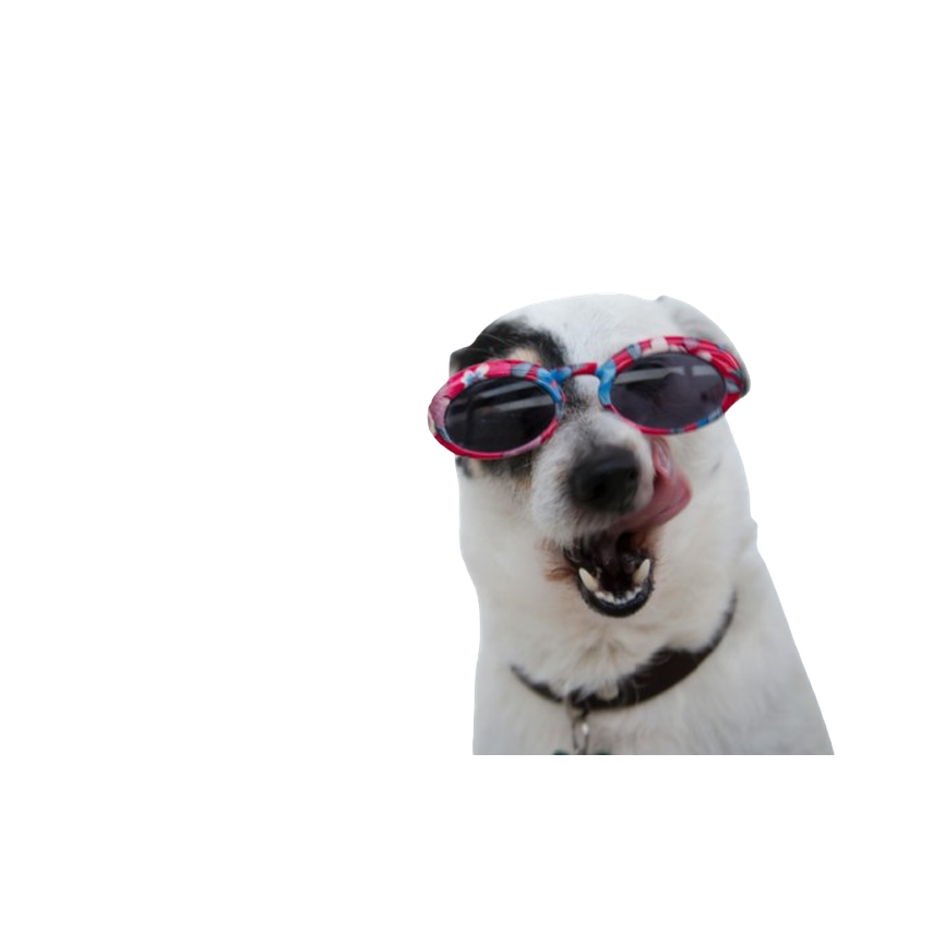 ALIMENTACIÓN ANIMAL